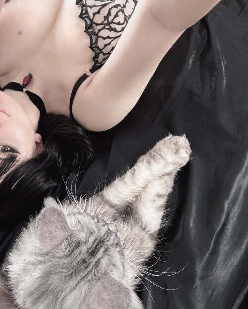 10001324825385cdd334747b47