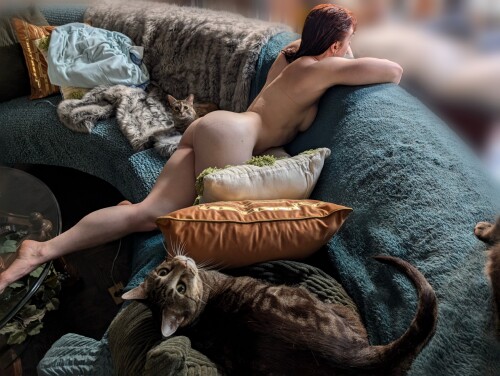 1000140355afd0b69373c3da0e