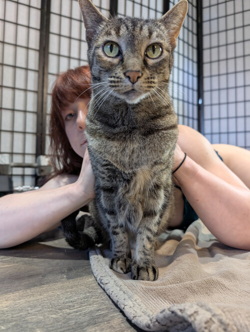 10001445284a3087d0ed947644