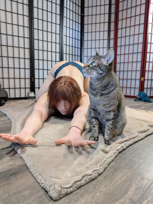 1000144536042e87908c429972