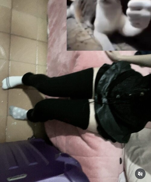 1000145743222e419f9eda1508