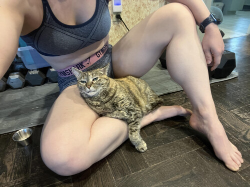 10001527284441cf54887d054f