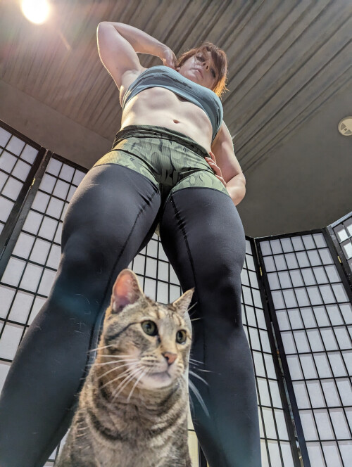 10001529415a2c3e9727200be6