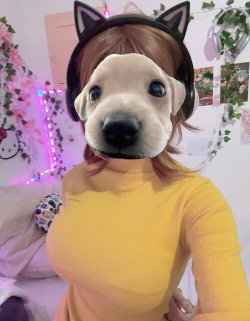 10001554175ed979ec7403b268