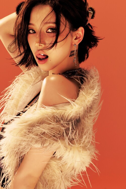 10001578759dab6e9d5e94dc92