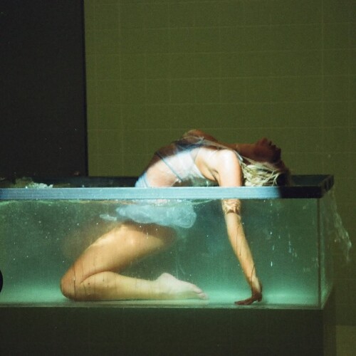 1000161186cb3e783dba5380fd