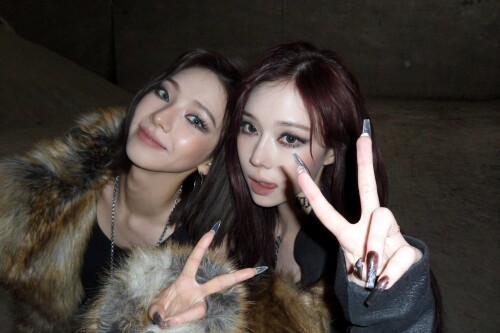 10001644998252b1ec0d4c2d85