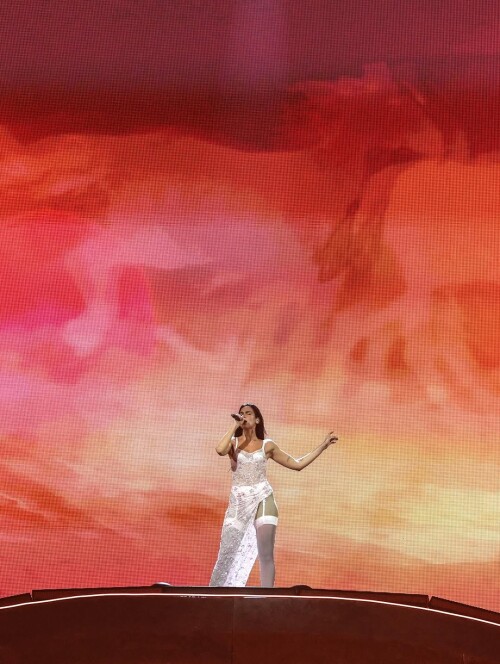 1000165602a3eec6dc69c1b808