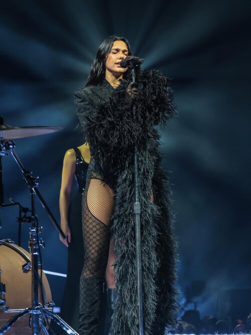 100016560390f8738697d47451