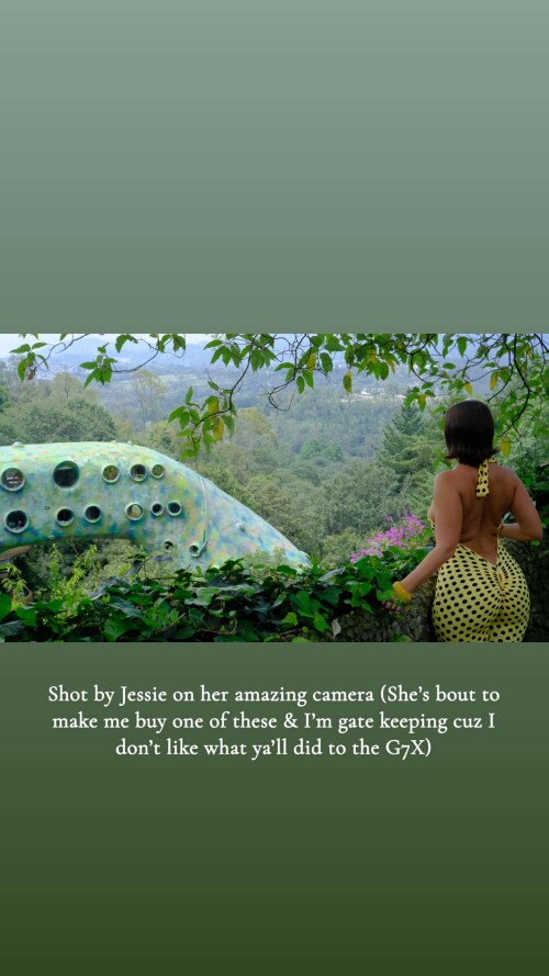 10001658428aae0febe0f483c3