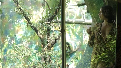 1000166286dd0eff6ea34215e8