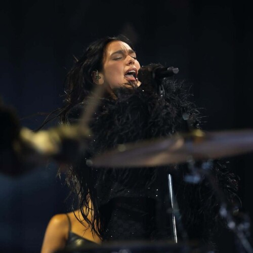 100016821285e219c3b8721397