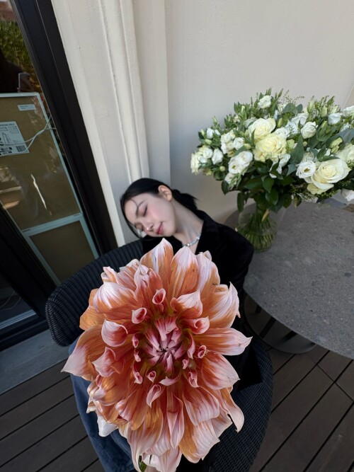 10001806683b85757f84801dde