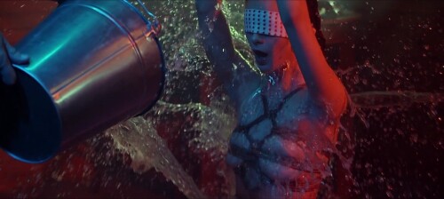 10001887061cb4d6157b7b8438