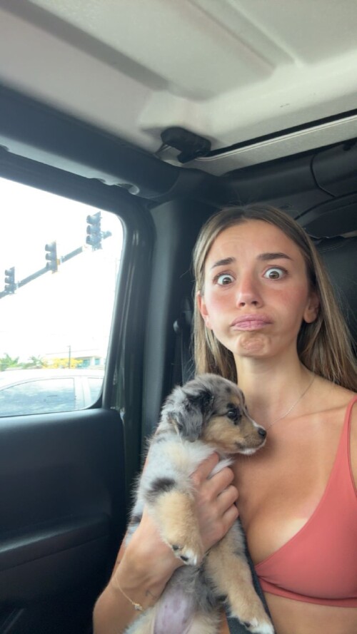 1000195785e8a0395d680e24db