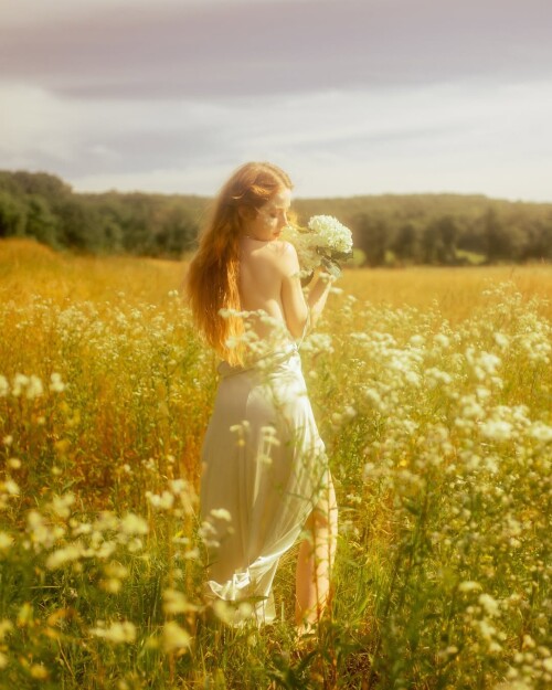 1000295820ae86779114f7f585