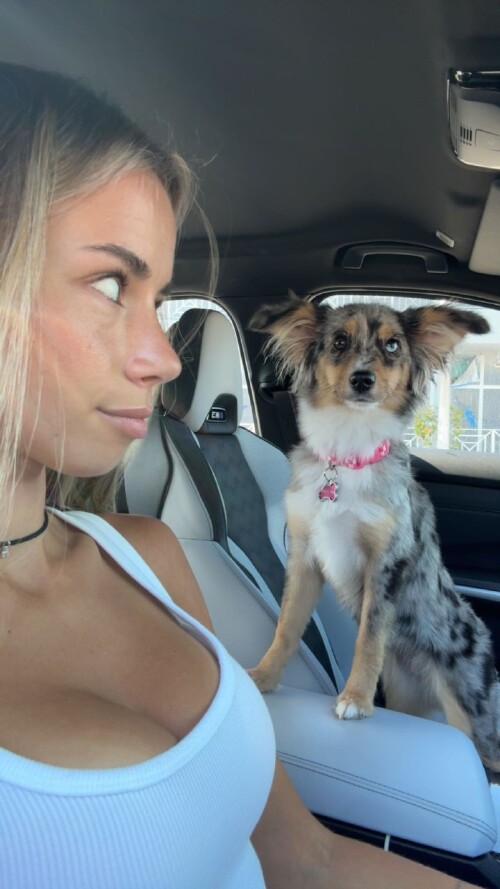 10003016737281bdfcf36e6052