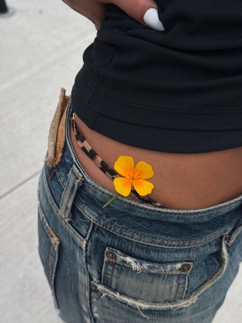 10003179246e3a5161a8eb555c