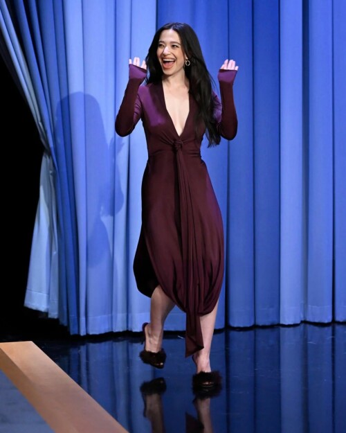 100032466550821d0d29a3c509