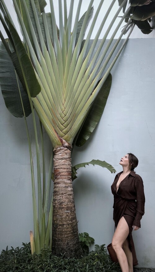 10003264646a44b5f4156757e4