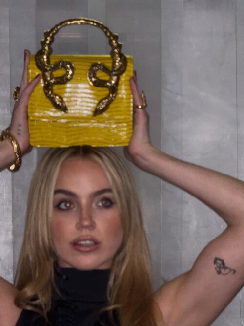 1000342115f5a26bb1d41a3ab9