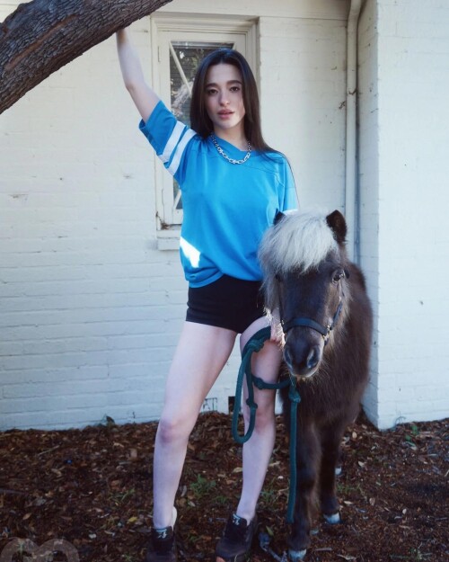 100035823304dd803bbe47316e