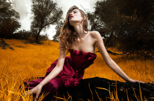 10003639130a60644056a4764d