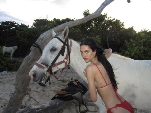 100036679325e6b97e0ea51760