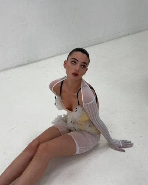 1000408526d4bd0df73617d88f