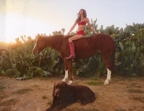 1000408553b68ff1cee5663255