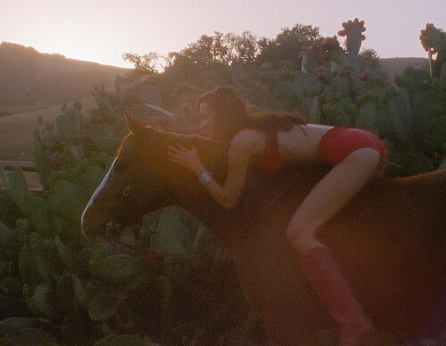 1000408555517bcf9901aea67e