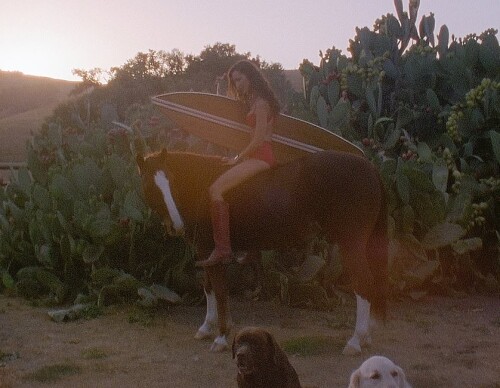 10004085575f16679e74d47481