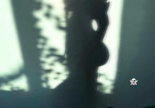 10004293088594e10dcf80871a