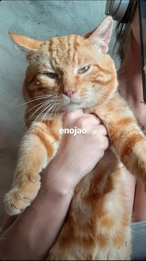 1000512545422337a271ee28fb