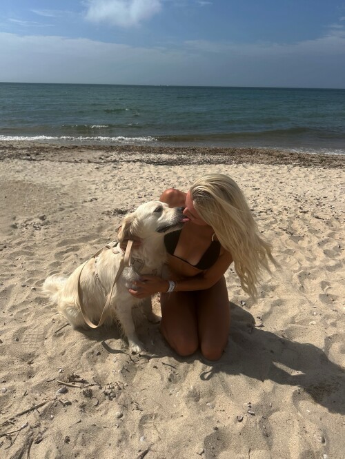 10005161441d1fddd6c857ff53