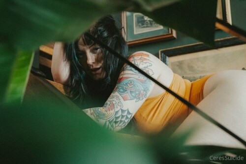 1024x683 bcd27b1ba314dade6ba07278b70ed5e9