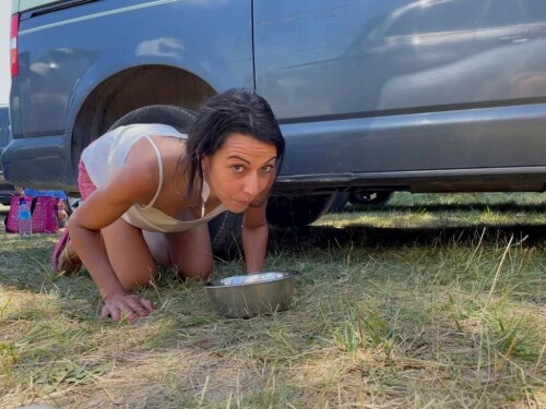 1024x768 82af6452f534a057b1a6fed66529d671439087cc9109ff51