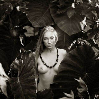 1067x1600_5fea5883ba738a9ceddf3215e920f6be