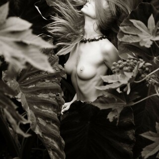 1067x1600_cfa625f60341eea753c9f5f0ad163ca4