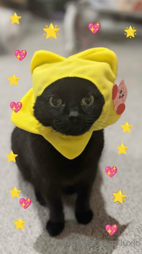 1080x1920 93812dfd37f10534577f07aafbb559888292e19e488e2e16