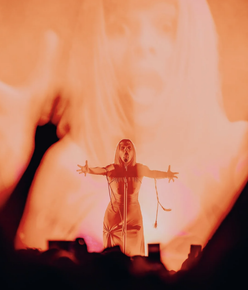 111111111111S288ced687679f6d9