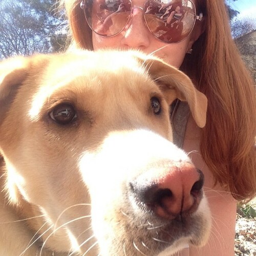 11356386 399933276870678 2106855726 n166e55dc79ec709c