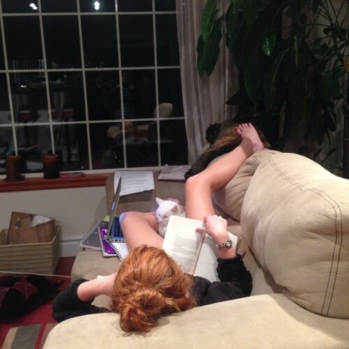 11378372 409221125918439 1865914659 nd79d23e75a2227dd