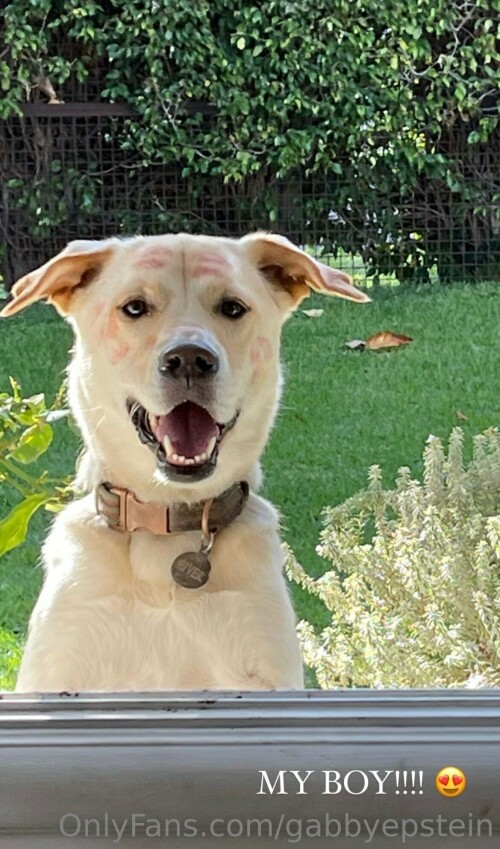 1170x1987 541dc899f003f65ead44457e081e07f5