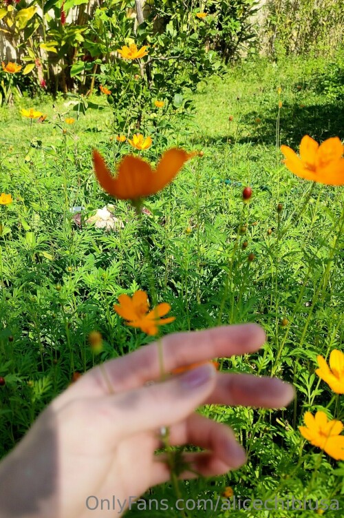 1191x1792 50813a037d1c40c877c838e6e232426d