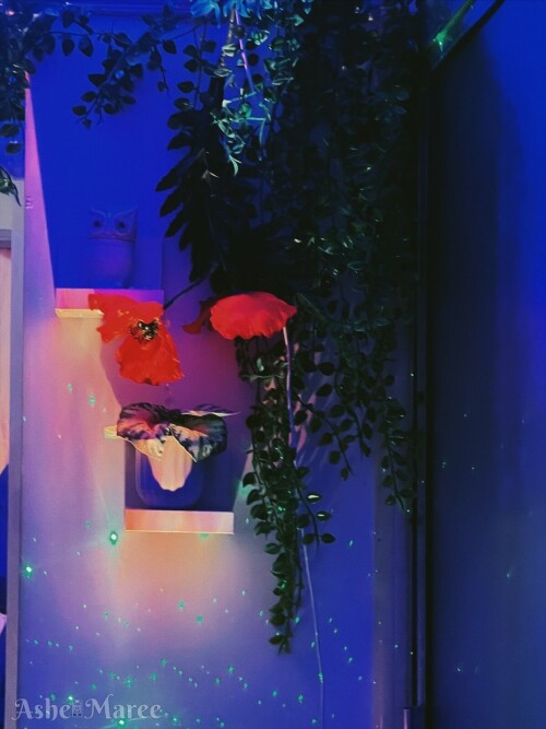 1198x1599 946dfc3087c13a0ac1dc7f74adf6c72785b486cac156cd5e