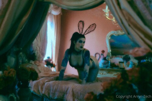 11 2304x1536 425e902752d1fce957a50b8f8278a320