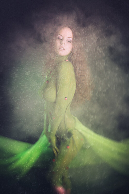 12 wood nymph by disharmonica d7jtbjl