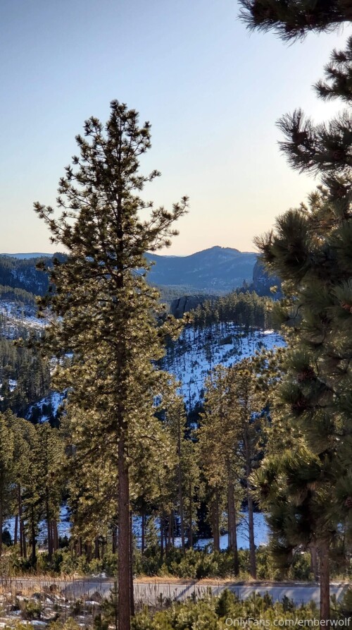 1209x2160 c7c4b7215a5dbf6815503322066f4b2de3cc5910380652a3