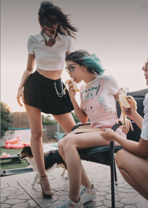 12121 1955ad4254b146472